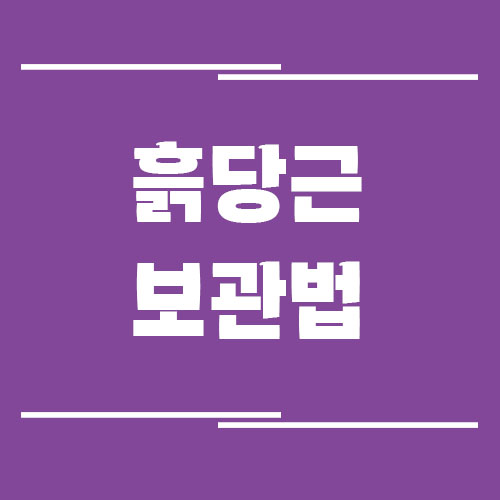 흙당근 보관법