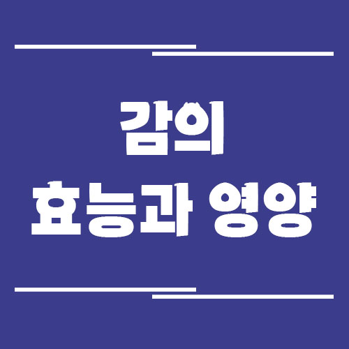Read more about the article 감의 효능, 부작용, 영양 정보, 보관 방법