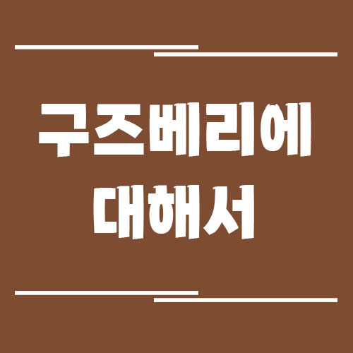 구즈베리의 효능, 부작용, 영양 정보, 보관 방법