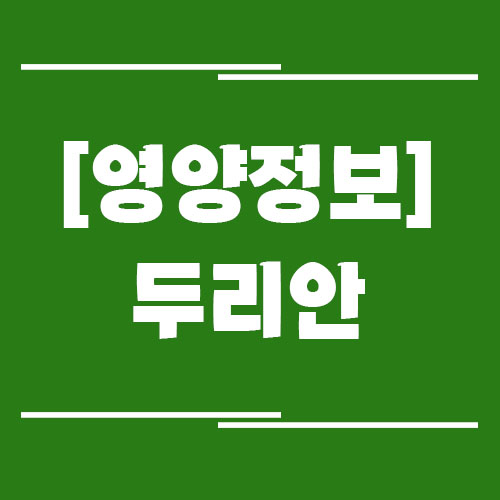 두리안의 효능, 부작용, 영양 정보, 보관 방법