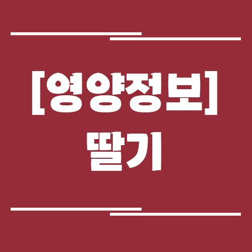 딸기의 효능, 부작용, 영양 정보, 보관 방법