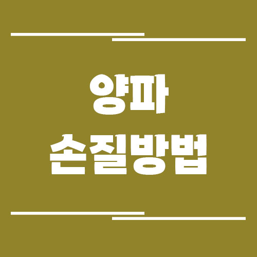 양파 눈물 안 나게 손질하는 방법