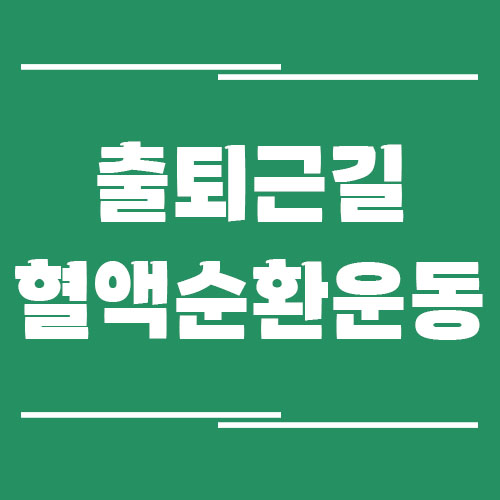 출퇴근길 버스·지하철에서 할 수 있는 간단한 혈액순환 운동