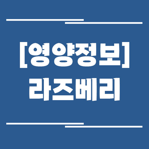 라즈베리의 효능, 부작용, 영양 정보, 보관 방법