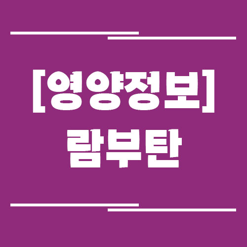 Read more about the article 람부탄의 효능, 부작용, 영양 정보, 보관 방법 알고 먹어보자