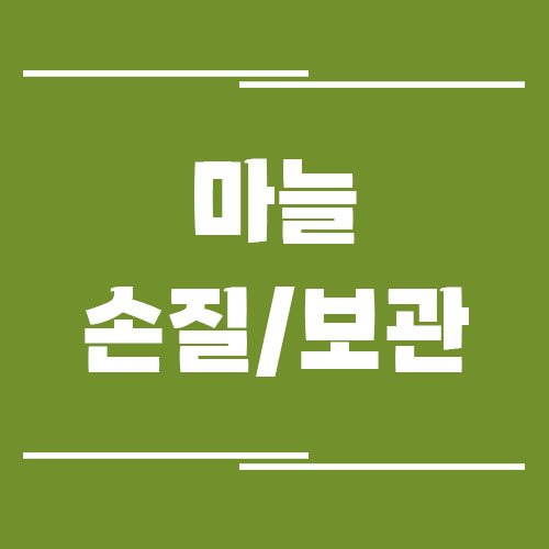 Read more about the article 마늘 쉽게 까는 법과 오래 보관하는 꿀팁