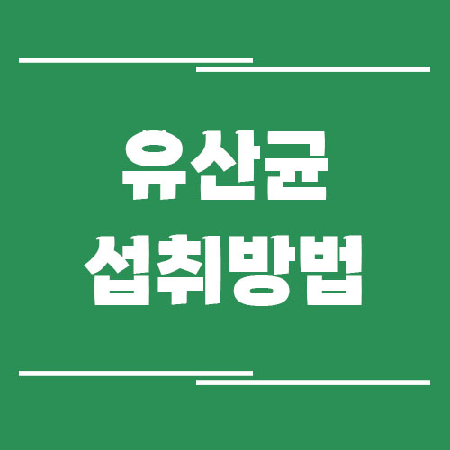 Read more about the article 장건강을 위한 유산균 섭취 방법