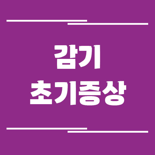 초기에 알아차리는 감기 증상 정리