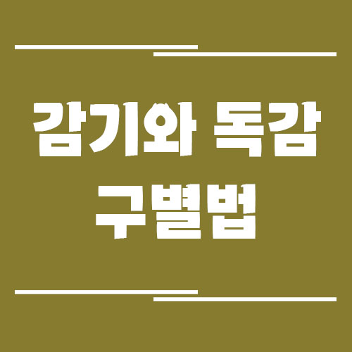 감기와 독감 구별법