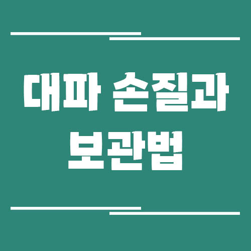 Read more about the article 대파 손질과 보관법 (국거리용, 볶음용)