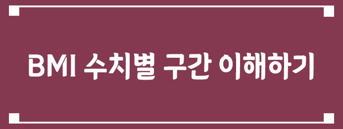 BMI 수치별 구간 이해하기