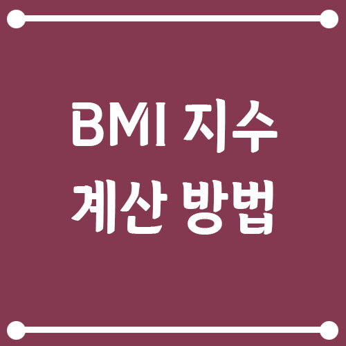 Read more about the article BMI 지수 계산 방법, 키와 몸무게로 알아보는 내 몸 상태