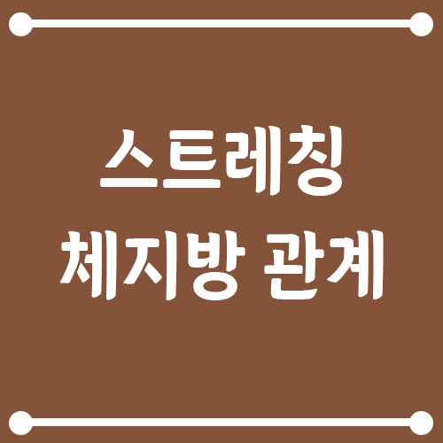 Read more about the article 스트레칭만으로도 체지방이 줄어들까요?