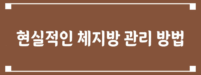 현실적인 체지방 관리 방법