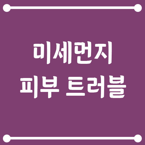 Read more about the article 미세먼지 피부 트러블 원인과 관리법, 장벽부터 지켜야 합니다