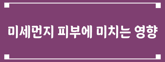 미세먼지가 피부에 미치는 영향