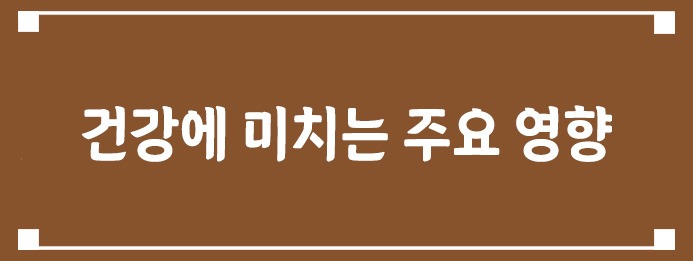 건강에 미치는 주요 영향