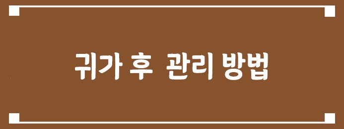 귀가 후  관리 방법