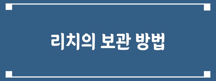리치의 보관 방법