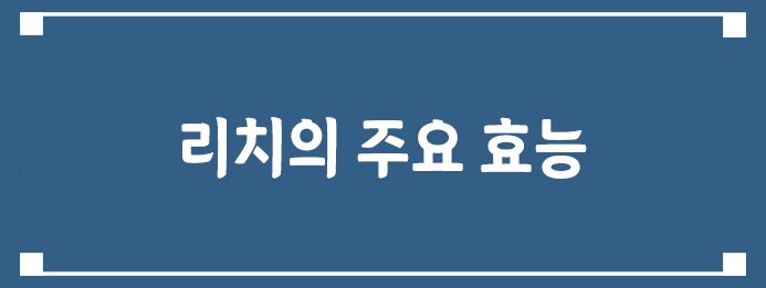 리치의 주요 효능