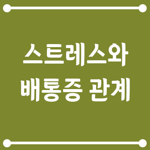 Read more about the article 스트레스 받으면 배 아픈 이유? 과민성대장증후군과의 관계