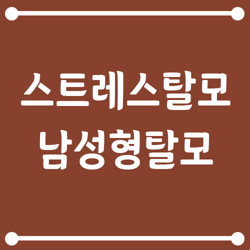 Read more about the article 스트레스 탈모와 남성형 탈모 차이점 (원인부터 해결 방법까지)